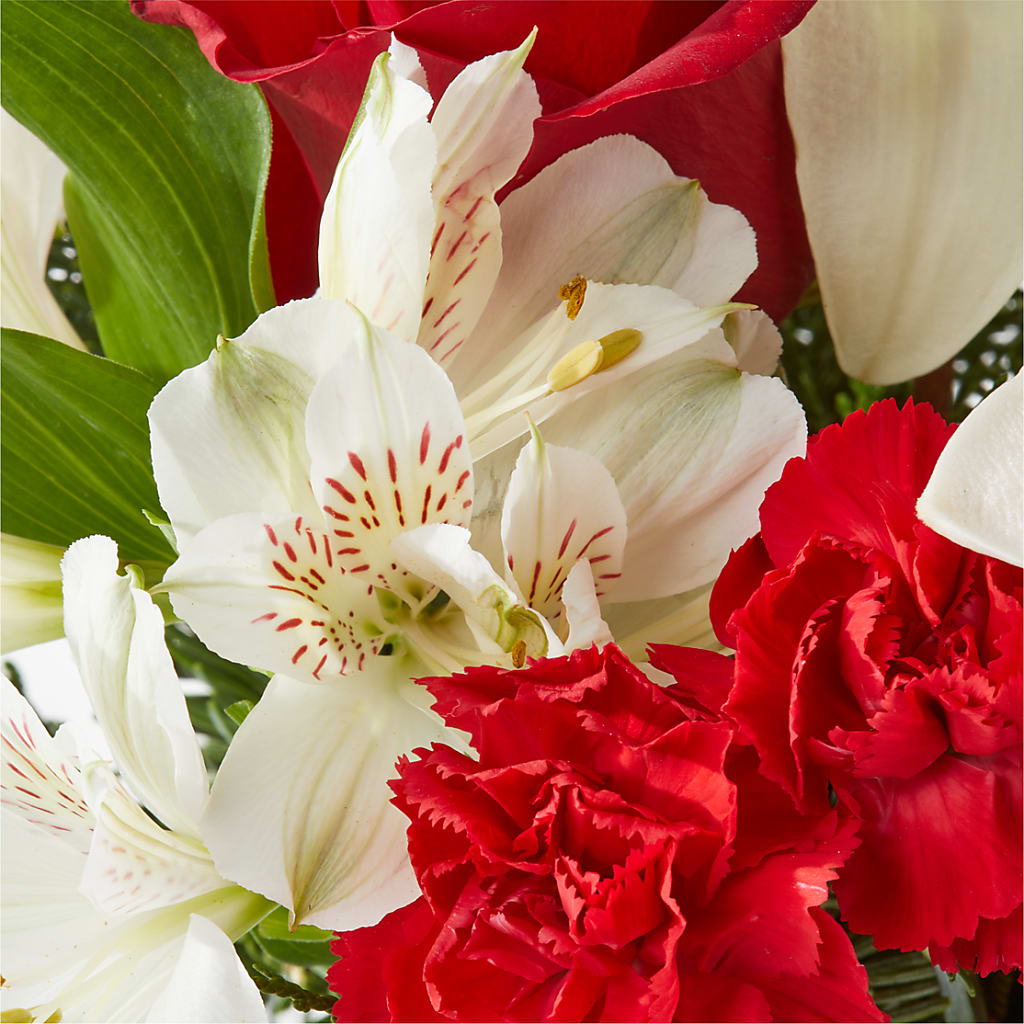 Holiday Season Bouquet – FORGET ME NOT FLOWERS & GIFTS, Walnut Creek CA