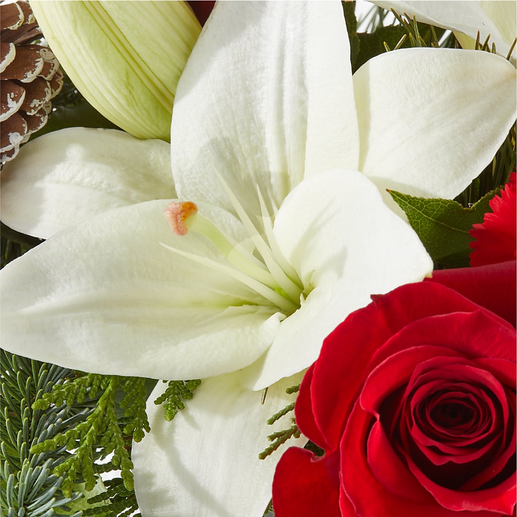 Oh So Jolly Bouquet – FORGET ME NOT FLOWERS & GIFTS, Walnut Creek CA