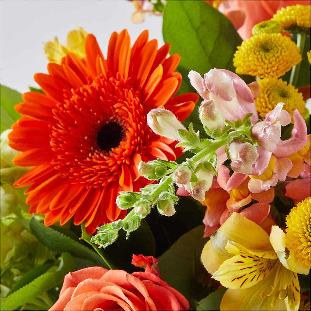 Autumn Sunshine Bouquet – FORGET ME NOT FLOWERS & GIFTS, Walnut Creek CA