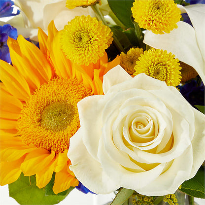 Stargazing Bouquet – FORGET ME NOT FLOWERS & GIFTS, Walnut Creek CA
