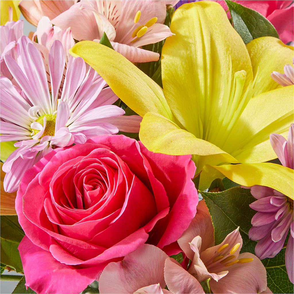 Sprinkles Bouquet – FORGET ME NOT FLOWERS & GIFTS, Walnut Creek CA