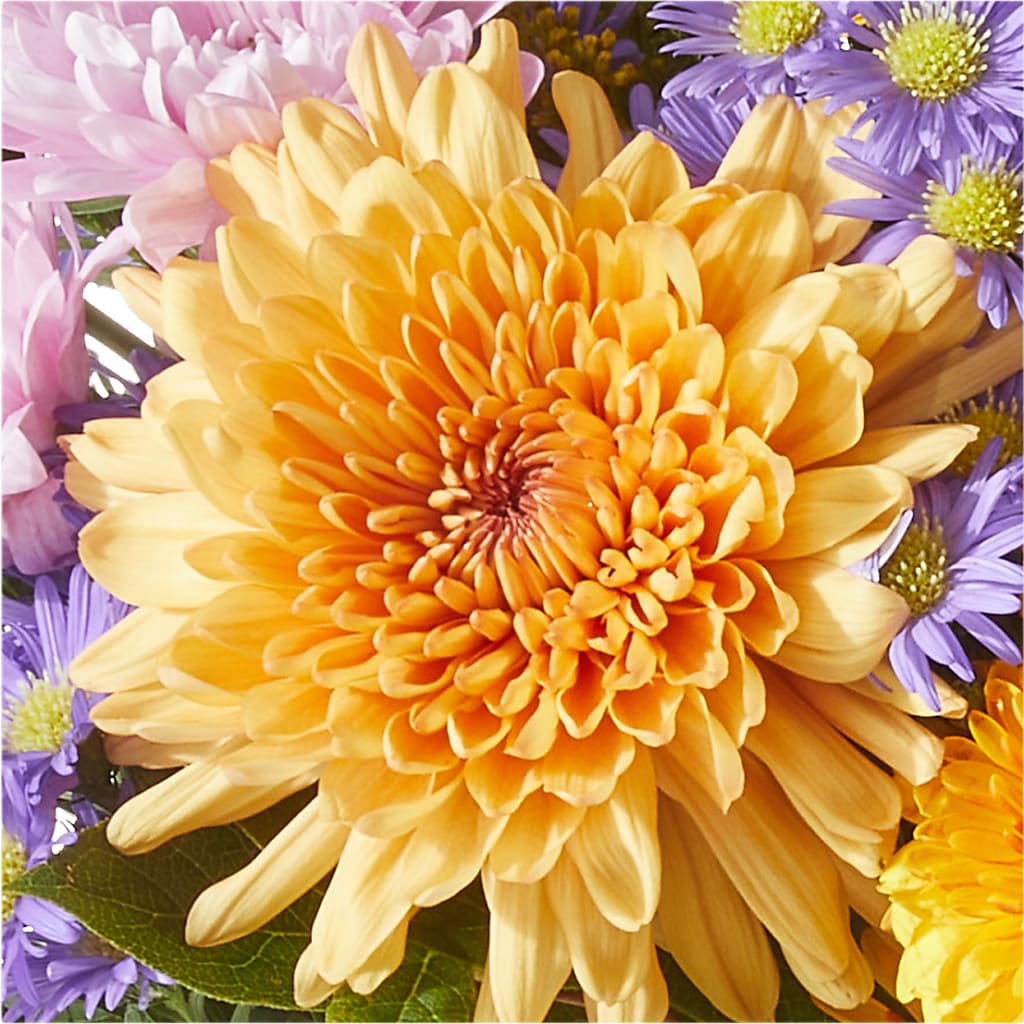 Countryside Bouquet – FORGET ME NOT FLOWERS & GIFTS, Walnut Creek CA