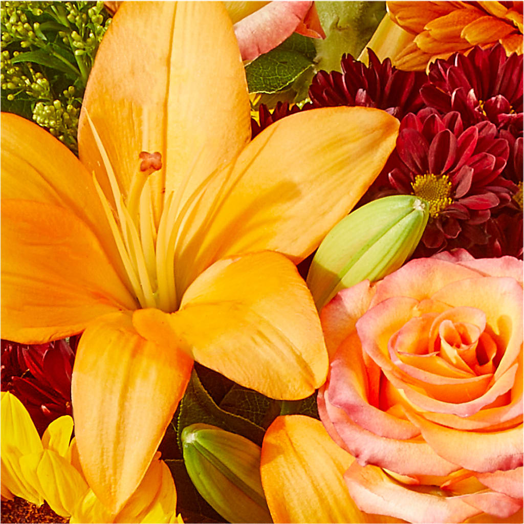 Seasons Change Bouquet – FORGET ME NOT FLOWERS & GIFTS, Walnut Creek CA