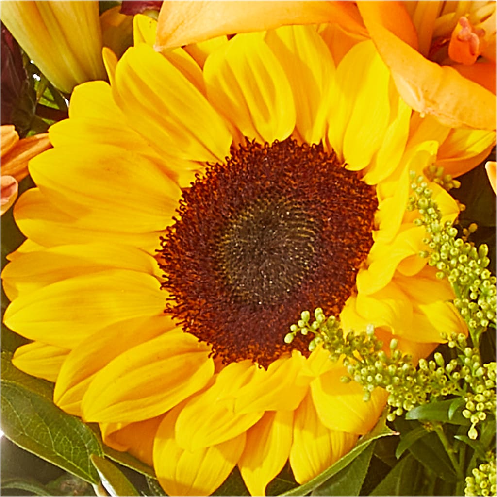 Seasons Change Bouquet – FORGET ME NOT FLOWERS & GIFTS, Walnut Creek CA