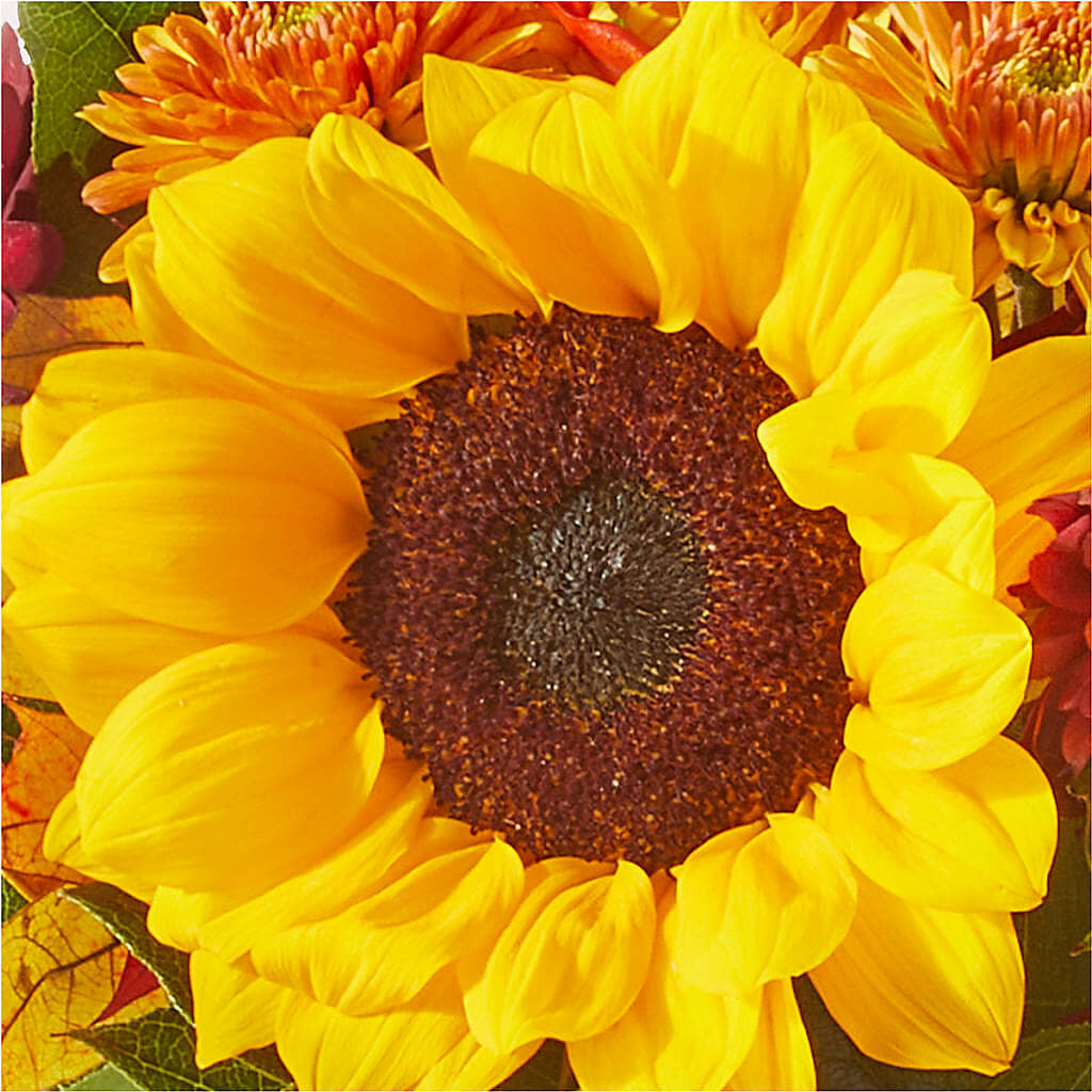 Sunny Side Bouquet – FORGET ME NOT FLOWERS & GIFTS, Walnut Creek CA
