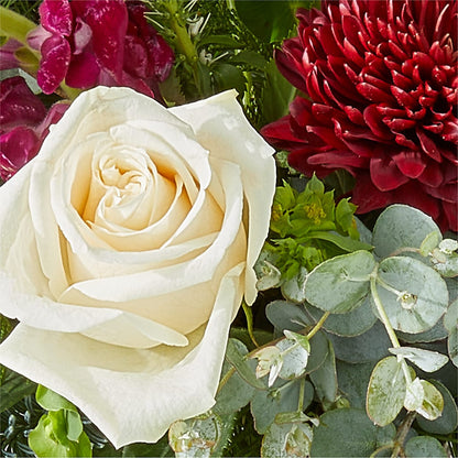 Cranberry Fizz Bouquet – FORGET ME NOT FLOWERS & GIFTS, Walnut Creek CA