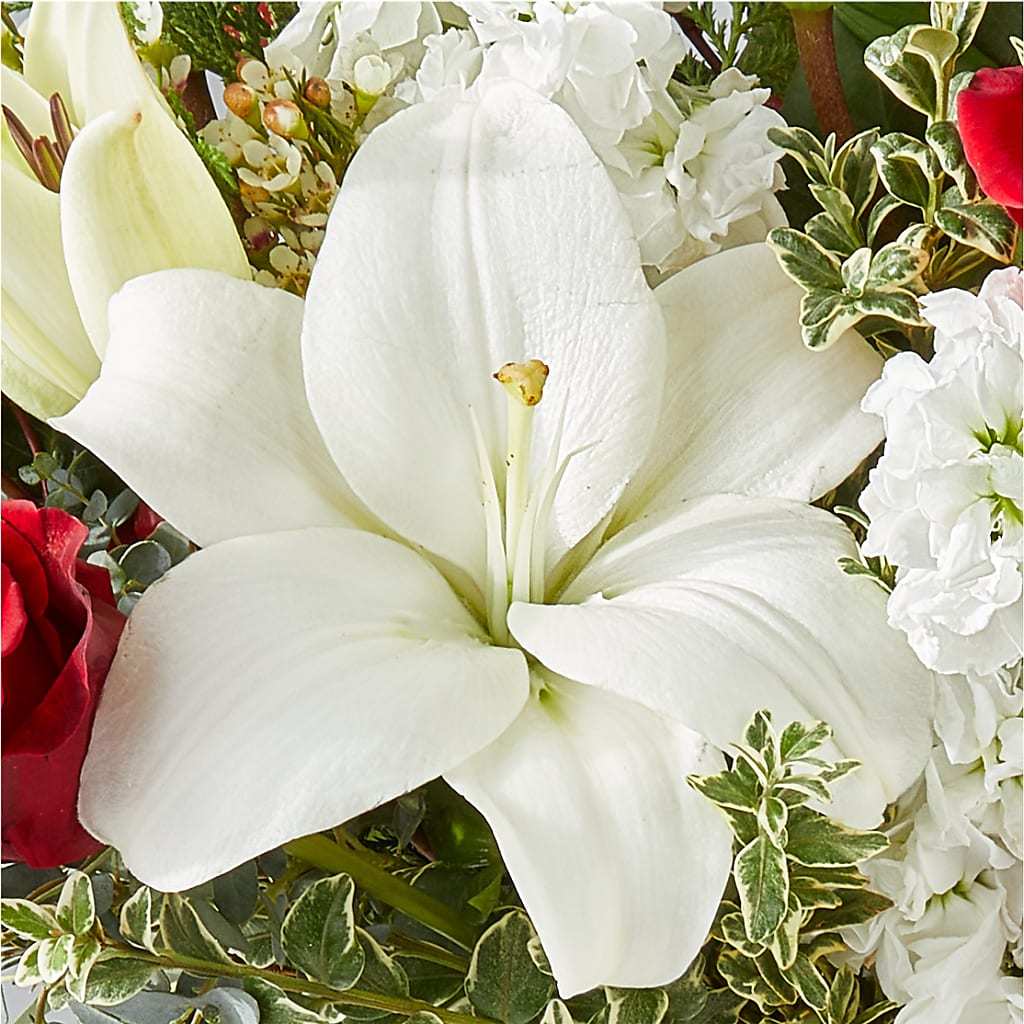 Twinkle Lights Bouquet – FORGET ME NOT FLOWERS & GIFTS, Walnut Creek CA