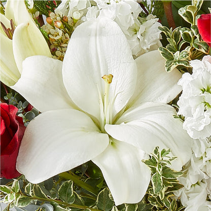 Twinkle Lights Bouquet – FORGET ME NOT FLOWERS & GIFTS, Walnut Creek CA