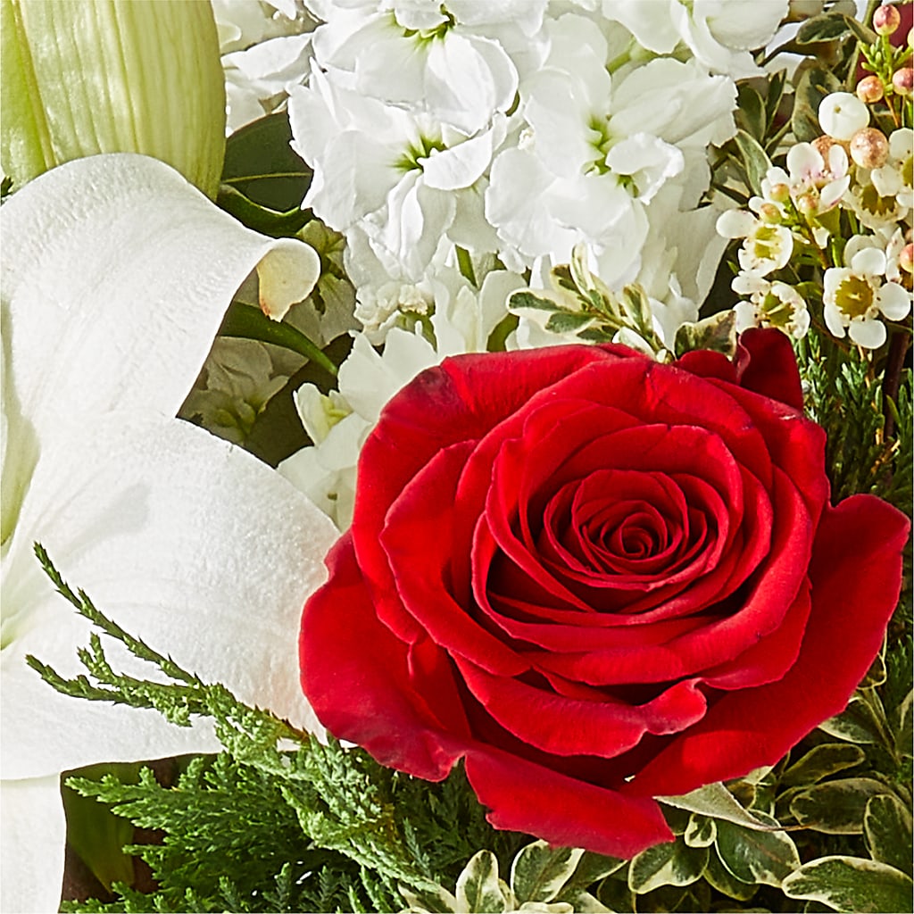 Twinkle Lights Bouquet – FORGET ME NOT FLOWERS & GIFTS, Walnut Creek CA