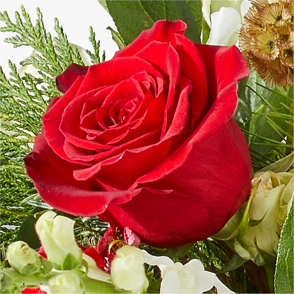 Deck the Halls Bouquet – FORGET ME NOT FLOWERS & GIFTS, Walnut Creek CA