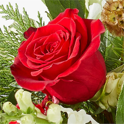 Deck the Halls Bouquet – FORGET ME NOT FLOWERS & GIFTS, Walnut Creek CA