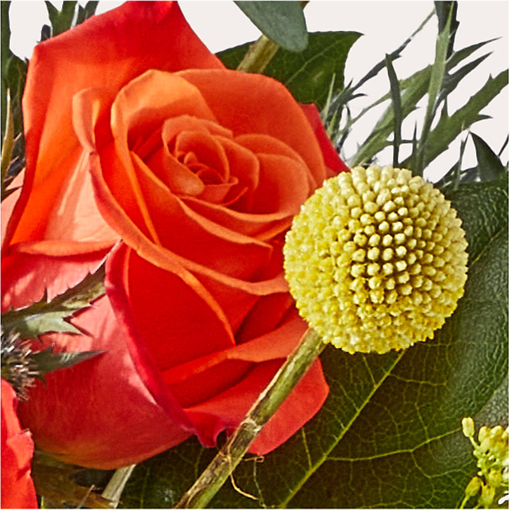 Disco Bouquet – FORGET ME NOT FLOWERS & GIFTS, Walnut Creek CA