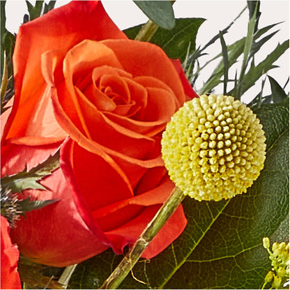 Disco Bouquet – FORGET ME NOT FLOWERS & GIFTS, Walnut Creek CA