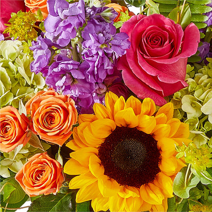 Vibrant Greetings Bouquet – FORGET ME NOT FLOWERS & GIFTS, Walnut Creek CA