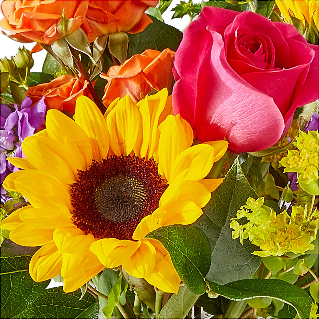Vibrant Greetings Bouquet – FORGET ME NOT FLOWERS & GIFTS, Walnut Creek CA