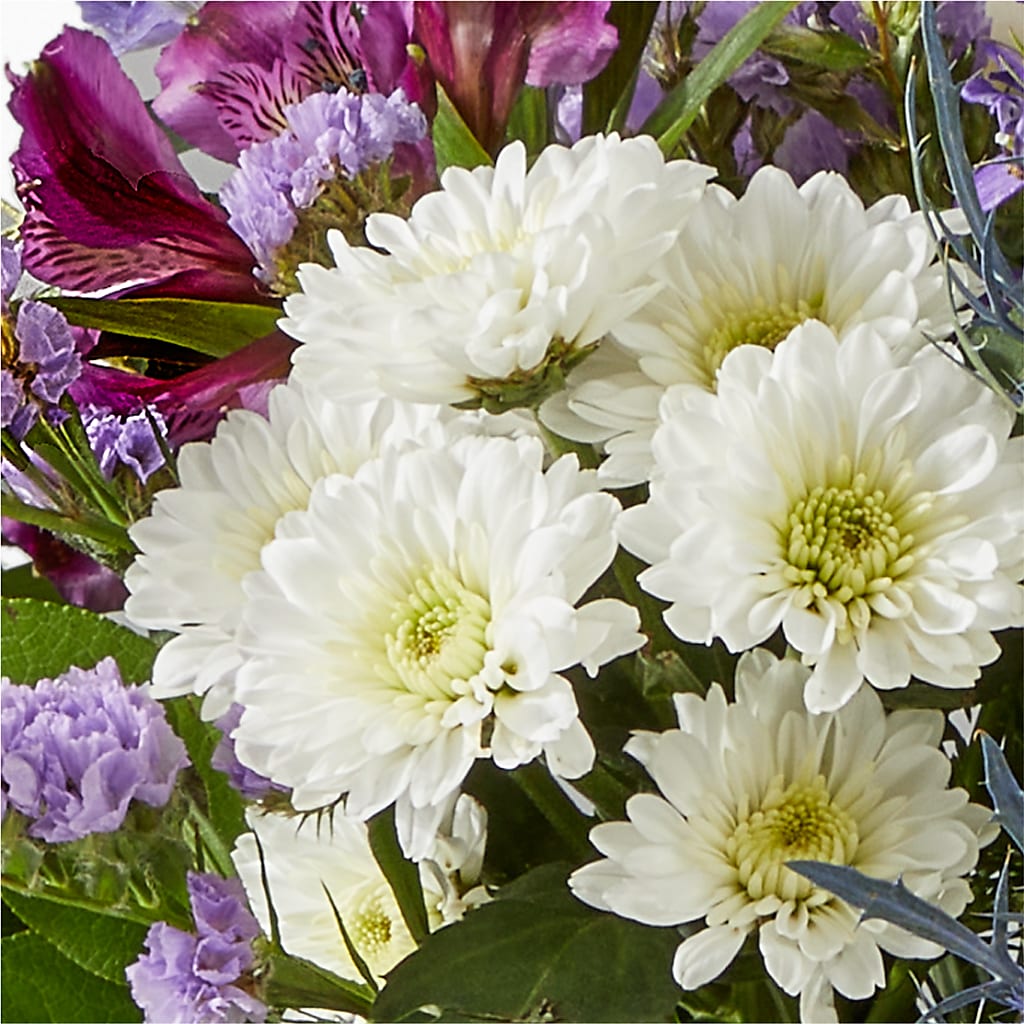 Shooting Star Bouquet – FORGET ME NOT FLOWERS & GIFTS, Walnut Creek CA