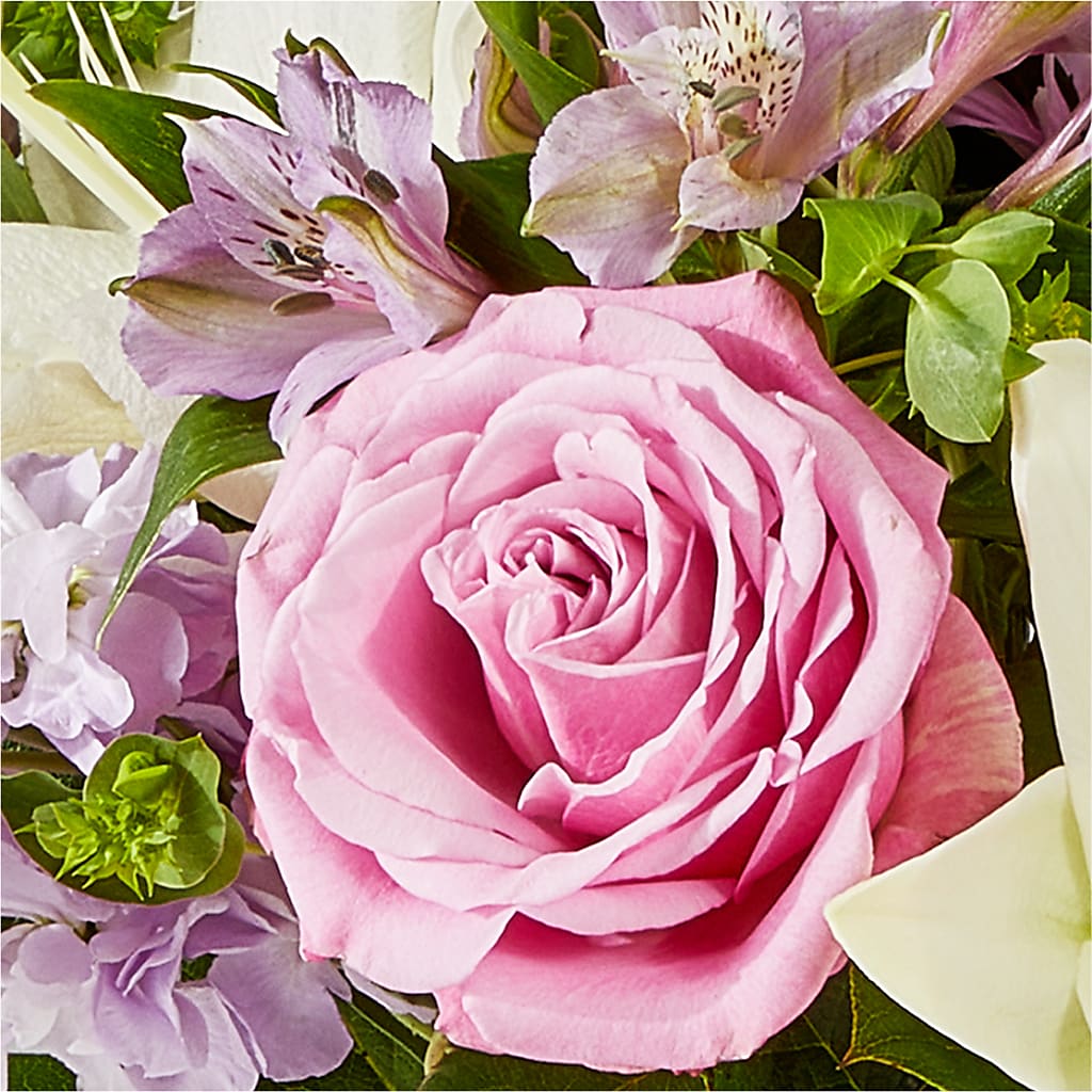 Daydreamer Bouquet – FORGET ME NOT FLOWERS & GIFTS, Walnut Creek CA