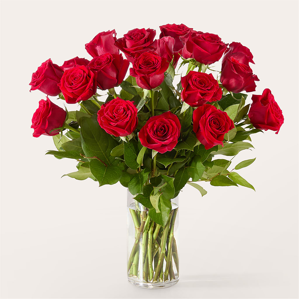 The One Red Rose Bouquet – FORGET ME NOT FLOWERS & GIFTS, Walnut Creek CA