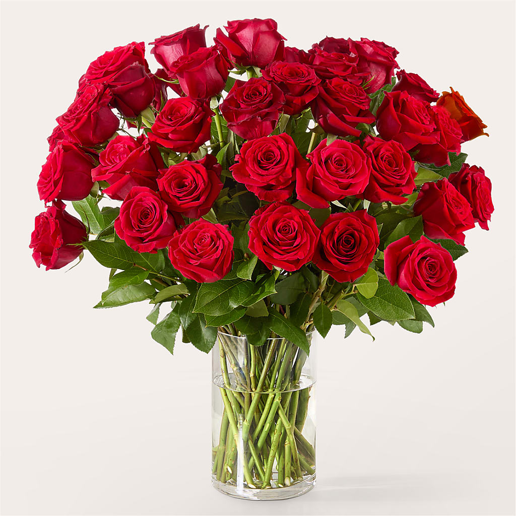 The One Red Rose Bouquet – FORGET ME NOT FLOWERS & GIFTS, Walnut Creek CA