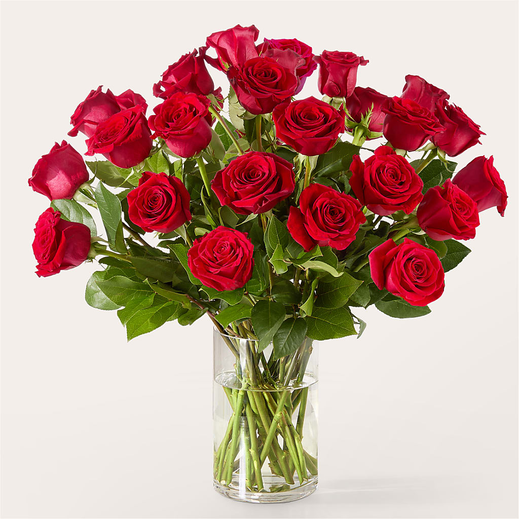 The One Red Rose Bouquet – FORGET ME NOT FLOWERS & GIFTS, Walnut Creek CA
