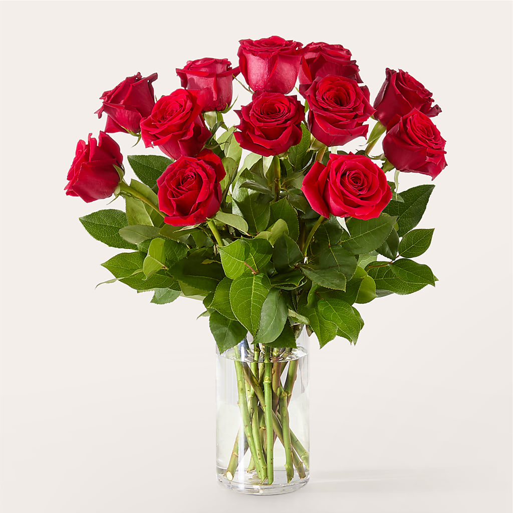 The One Red Rose Bouquet – FORGET ME NOT FLOWERS & GIFTS, Walnut Creek CA