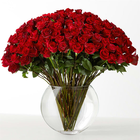 The Idealist – FORGET ME NOT FLOWERS & GIFTS, Walnut Creek CA