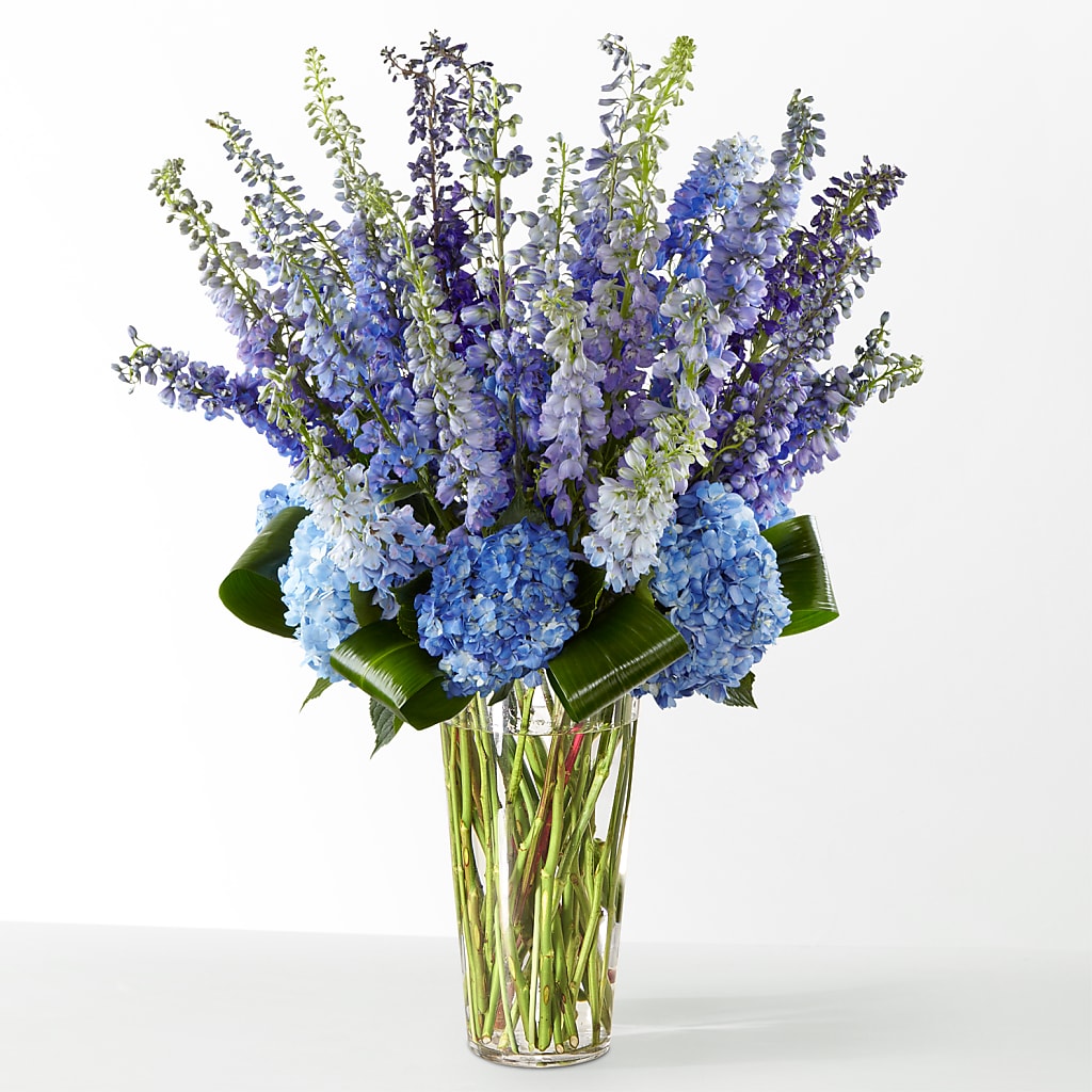 The Editorial – FORGET ME NOT FLOWERS & GIFTS, Walnut Creek CA