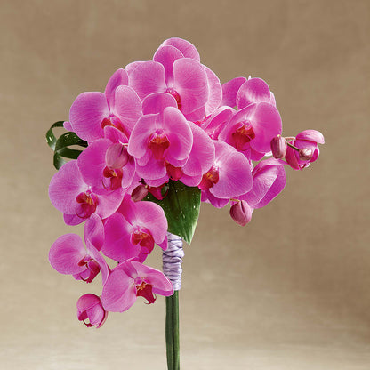 Glorious Bouquet – FORGET ME NOT FLOWERS & GIFTS, Walnut Creek CA