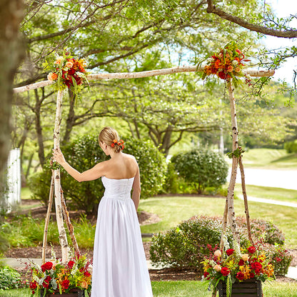 Arbor of Love Archway – FORGET ME NOT FLOWERS & GIFTS, Walnut Creek CA