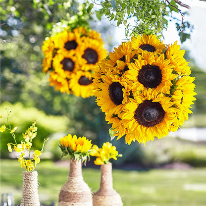 Sublime Garden Hanging Arrangement – FORGET ME NOT FLOWERS & GIFTS, Walnut Creek CA