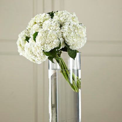 White Hydrangea Hand-Tied Bouquet – FORGET ME NOT FLOWERS & GIFTS, Walnut Creek CA