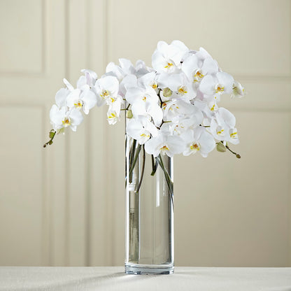 White Phalaenopsis Bouquet – FORGET ME NOT FLOWERS & GIFTS, Walnut Creek CA