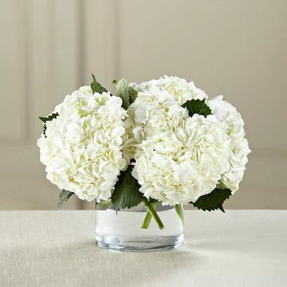 White Hydrangea Bouquet – FORGET ME NOT FLOWERS & GIFTS, Walnut Creek CA